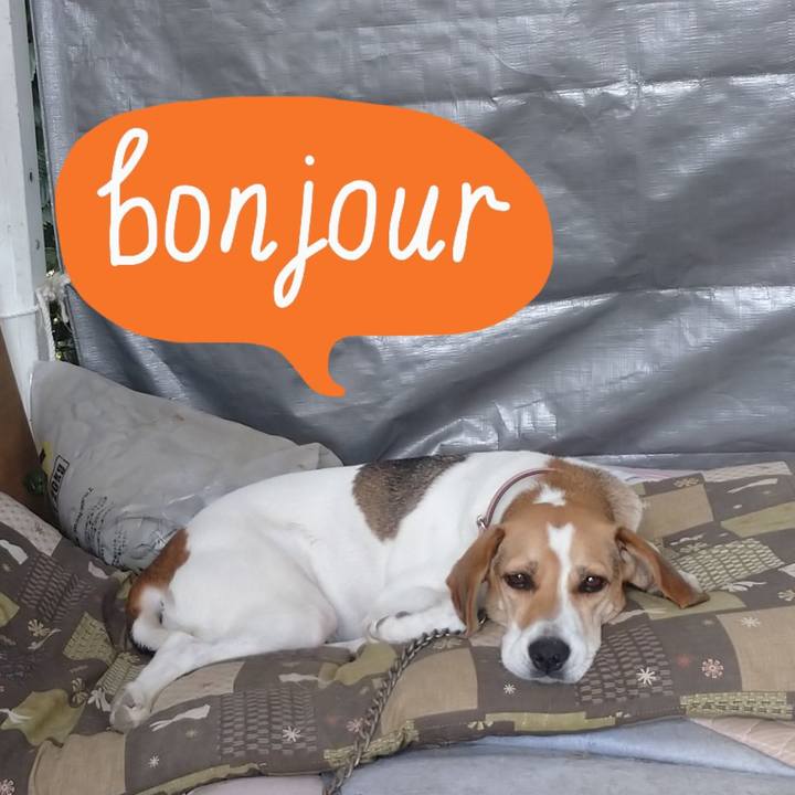 5c19de9b ffb1 4ac2 81fd a7a342d6ee80 1601089027981