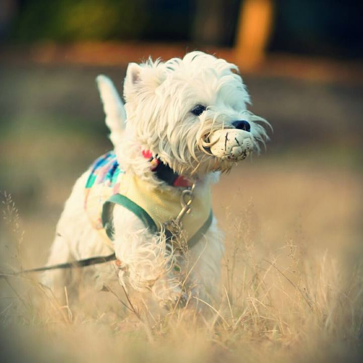 5c1a2857 dda9 4a2a ab24 80026ef0323f 1512395429947