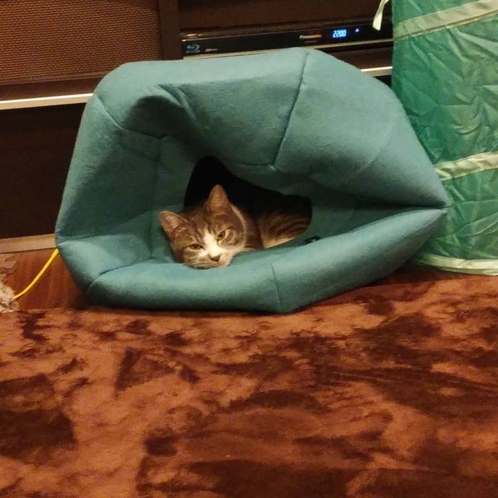 5c1a429a 7a38 421c a6a8 2f036e9e703d 1573822895990