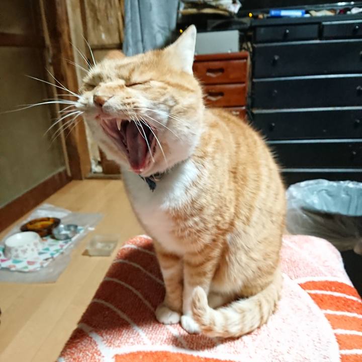 5c1ac11f 1304 4393 8e1f 8e4036fcc516 1606420488688