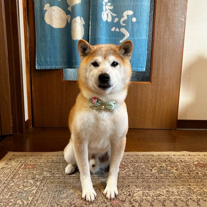 5c1b08d0 d0b6 4f26 ab49 09e0a30157a6 1772699722378