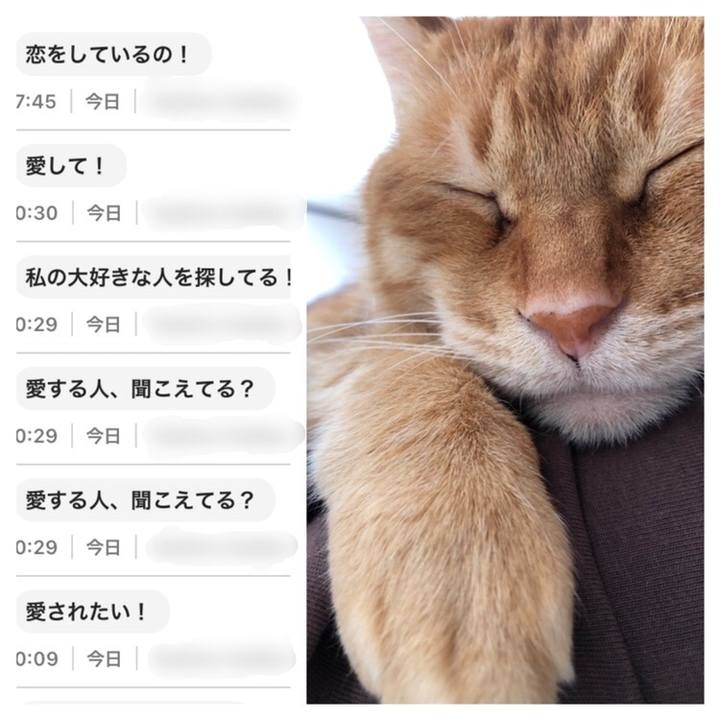 5c1b2a34 41d7 481d a516 e78a0c04af1c 1641179502908