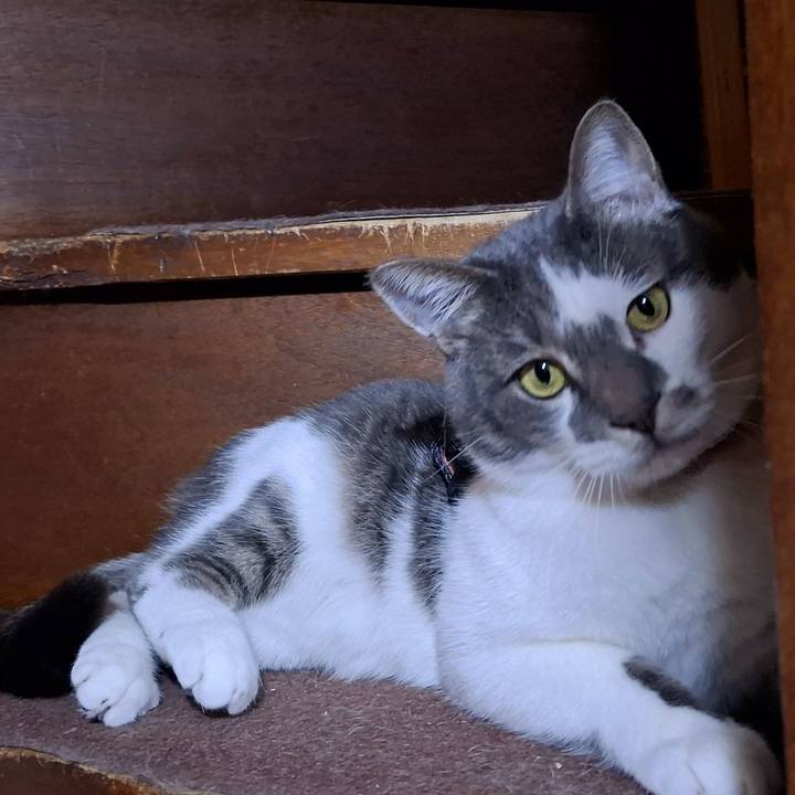 5c1b30d4 795c 4b00 bf3b df5d8bd4719b 1738628907747