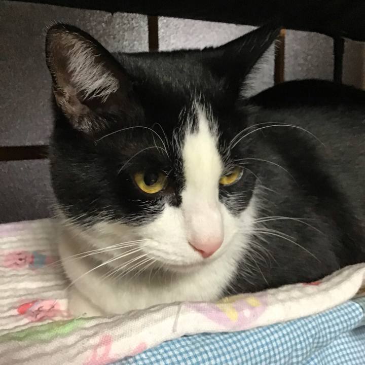 5c1b3ccf 73a5 4bc9 a8a3 bd8d21ab49ae 1671622924615