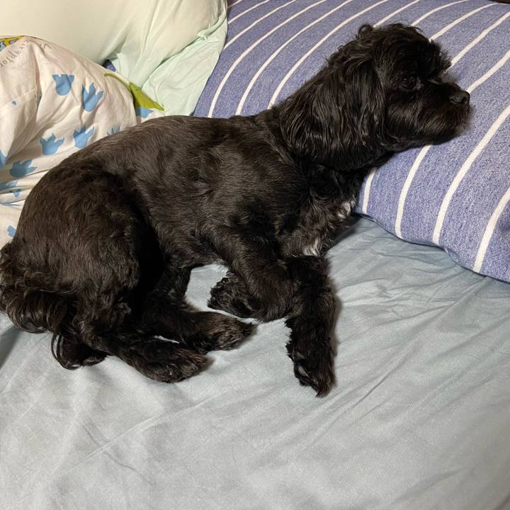 5c1ba785 8f6e 4791 94d3 6ca4f01d79fd 1630381164009