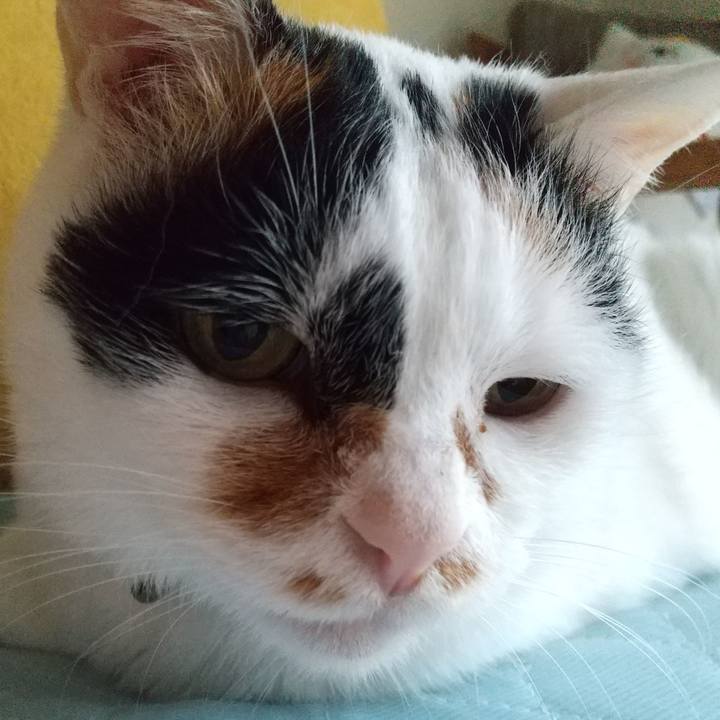 5c1bb94c bb43 4369 9bf6 94dc2b954600 1622761388631