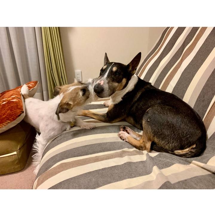 5c1bcd6c cb5a 4adb 8b12 2506da1b9724 1603442905265