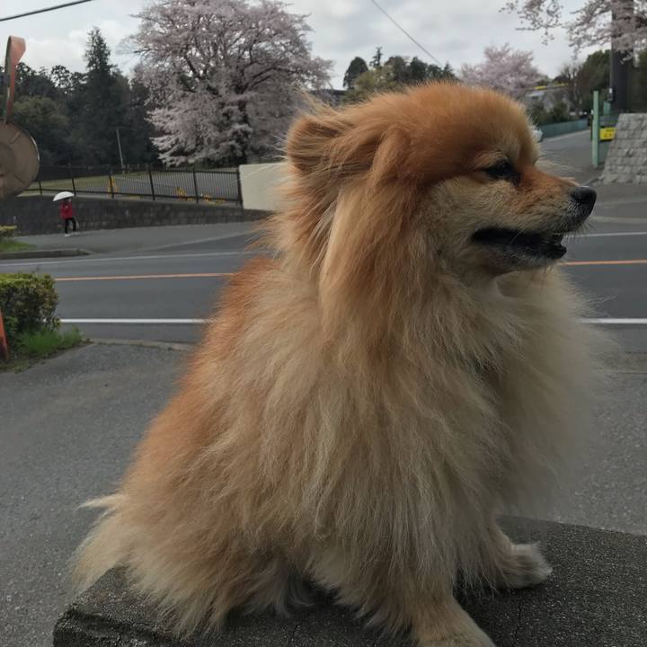 5c1bce38 fa23 40f0 b2c5 85835bab6a7c 1554680575062