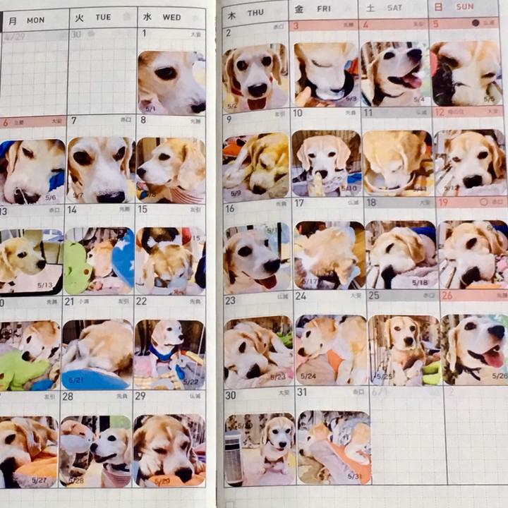 5c1bcfdd b89b 4f5f a328 641aa01067d7 1560564658233