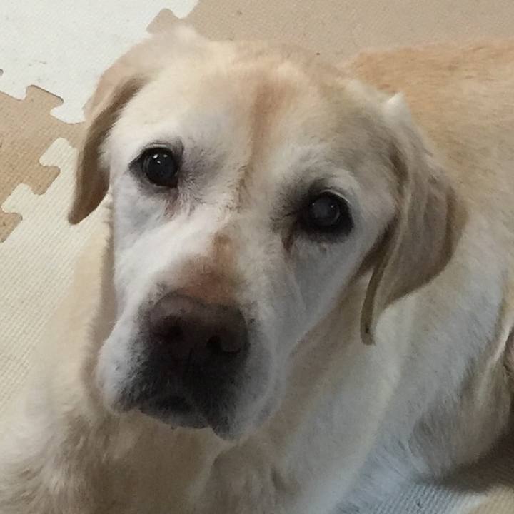 5c1bdded 43cd 4a57 bc34 fbb47f1fc54c 1519461048061