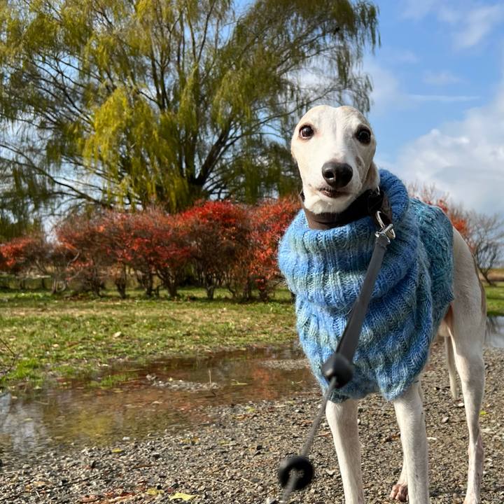 5c1be9c7 9d1a 4b49 b517 92bd4e925569 1764145810368