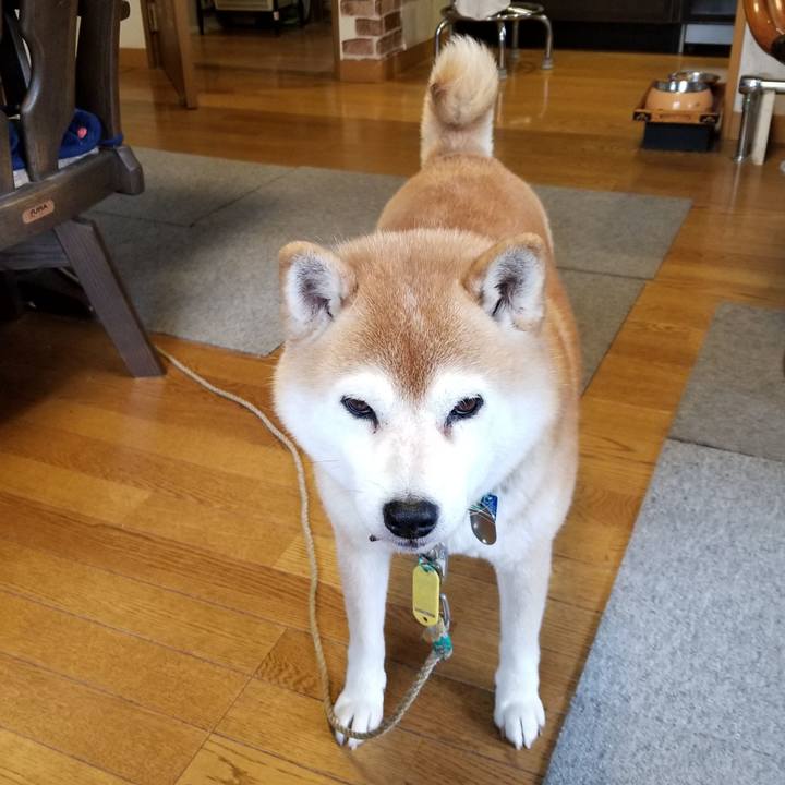 5c1c2107 e93e 4e26 abfb 66a58540d1b3 1640130662170