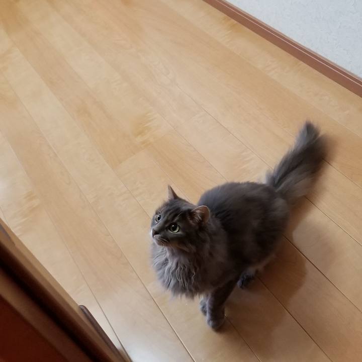 5c1c2690 1725 4081 88d9 88e7a3dd0157 1569539786491