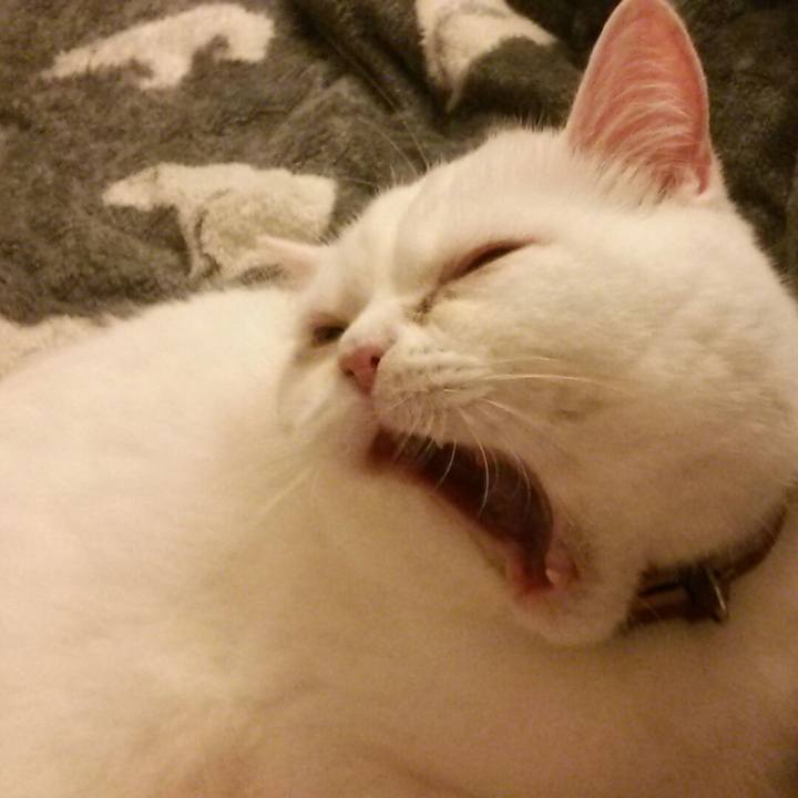 5c1c3692 e6a5 4e9e 8482 6d15157b0851 1524261774972