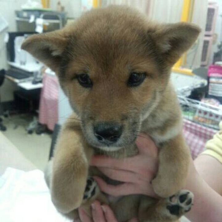 5c1c7966 660e 4b7b a9be c8e20400a491 1535428587089