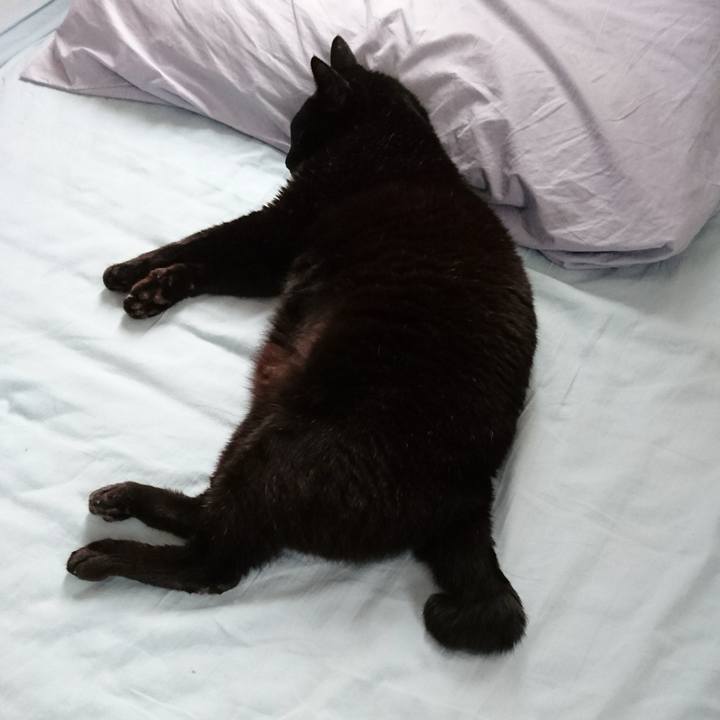 5c1cca49 c99f 44c1 8f85 148e8df76bdf 1568333652552