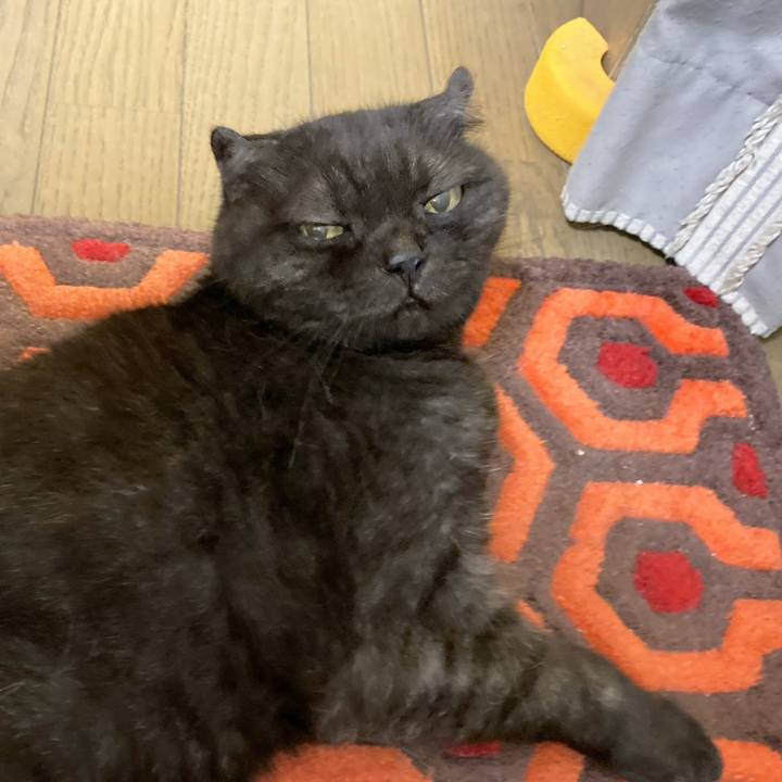 5c1cf2ee 80a7 4ef6 9036 1a34a6514fb7 1596755960565