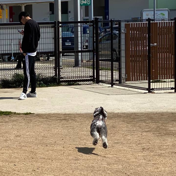 5c1cf9c7 c89f 4fa9 a5bb 8783cbb351a4 1586020978896