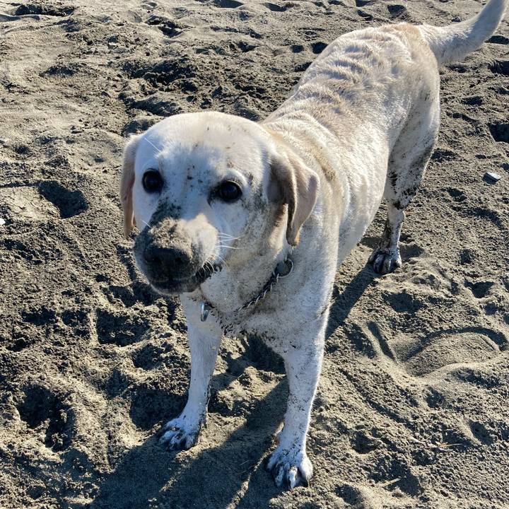 5c1d2b95 a59a 4b3e 800f 3b32fb682229 1696338283662