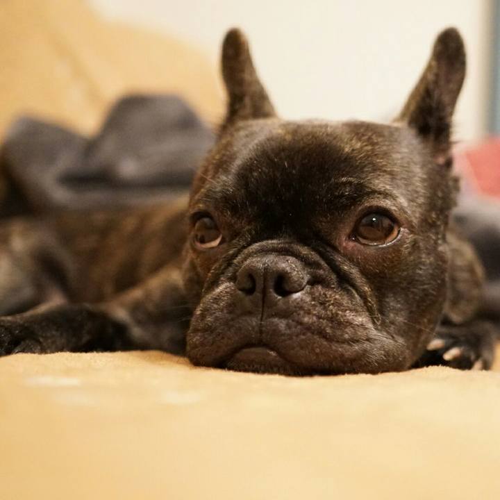 5c1d3530 ad15 4182 9e3b 1665a2cc96ae 1512357216324