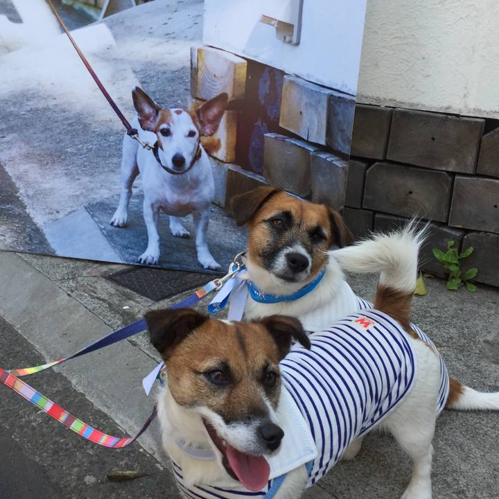 5c1d6199 b2b7 4d13 90db d510a23aa382 1524280825918