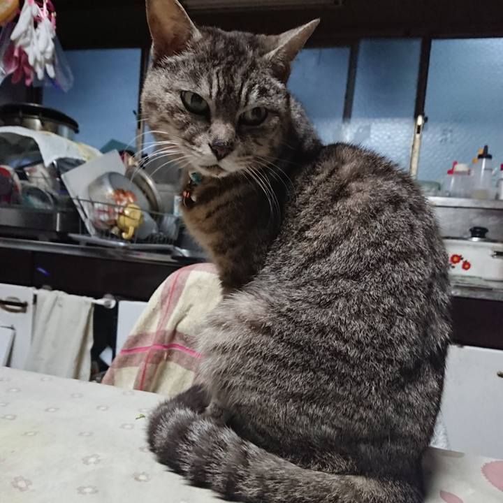 5c1d7221 8eb6 4a57 a4c5 ea5cac58e983 1559073637773