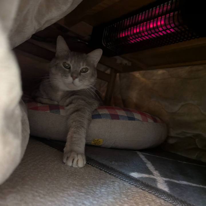 5c1d7bfd 7923 4827 9901 d2cf6d9ce742 1762405511232