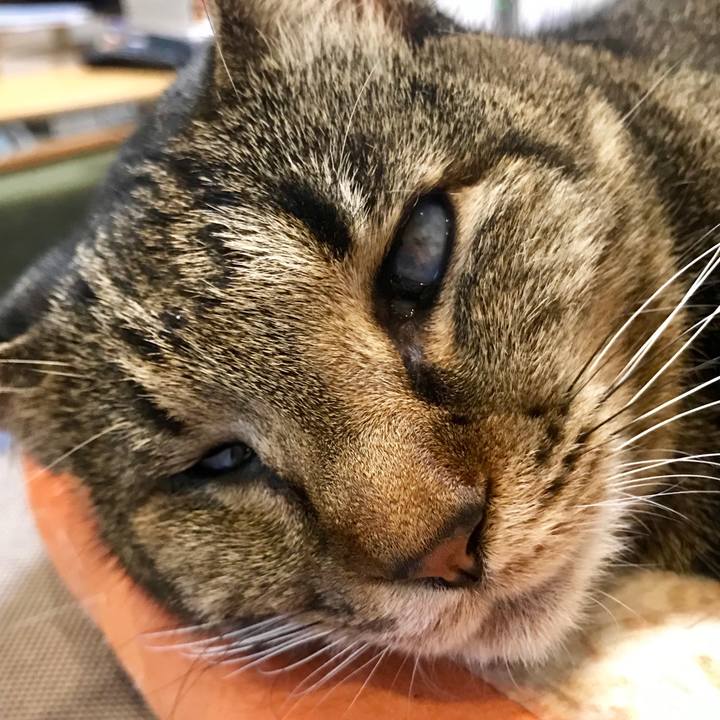 5c1d91ab 1b21 4822 b5ec 74bf47166912 1549417598181