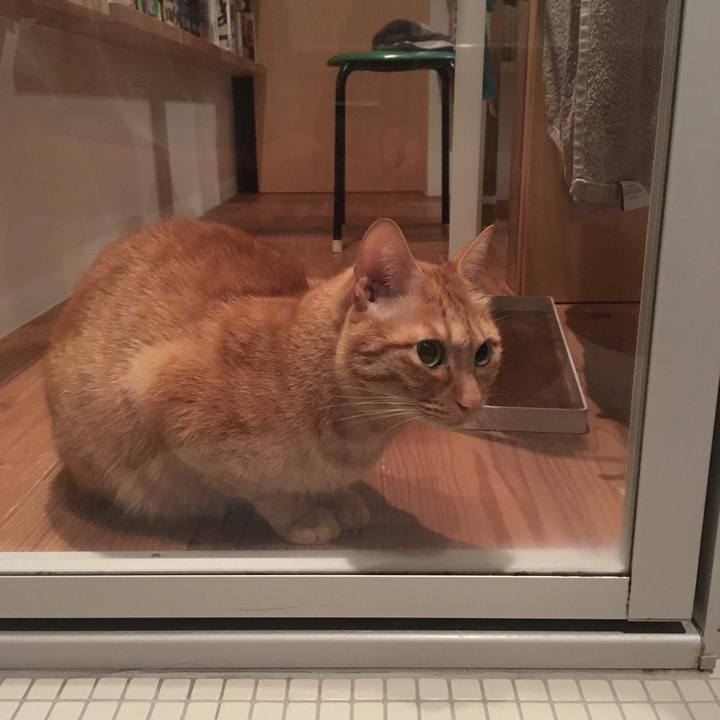 5c1dc0b7 21dd 485b 8106 8aff208d214e 1539648289191