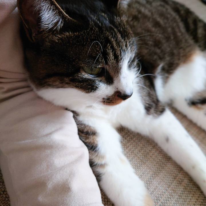 5c1dd5e8 bb39 4fcc b8ff 98463b53f9f2 1763460290727