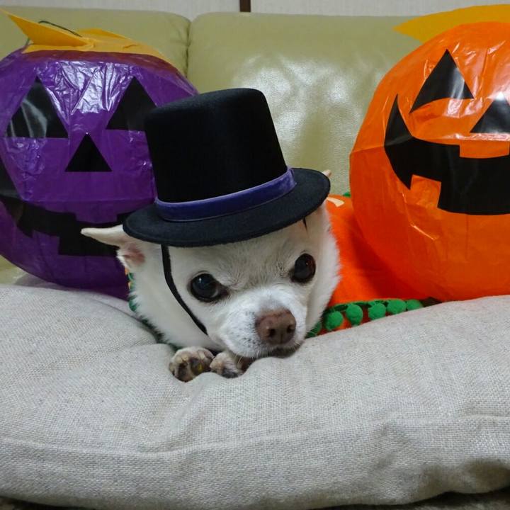 5c1e4049 d06f 431e abc5 499fda7625e3 1508450111628