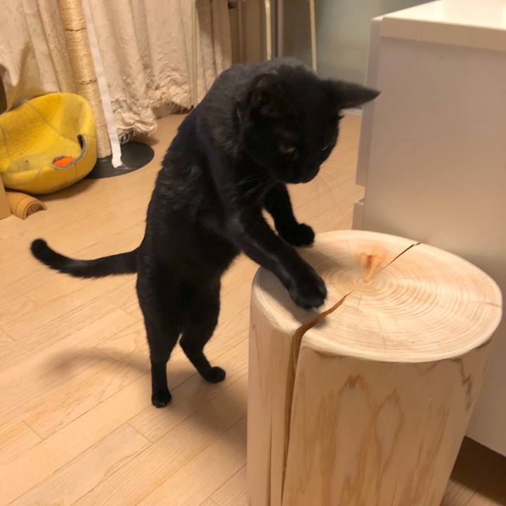 5c1e4dc1 b74e 472e 8d61 6606edf256ea 1539699902320