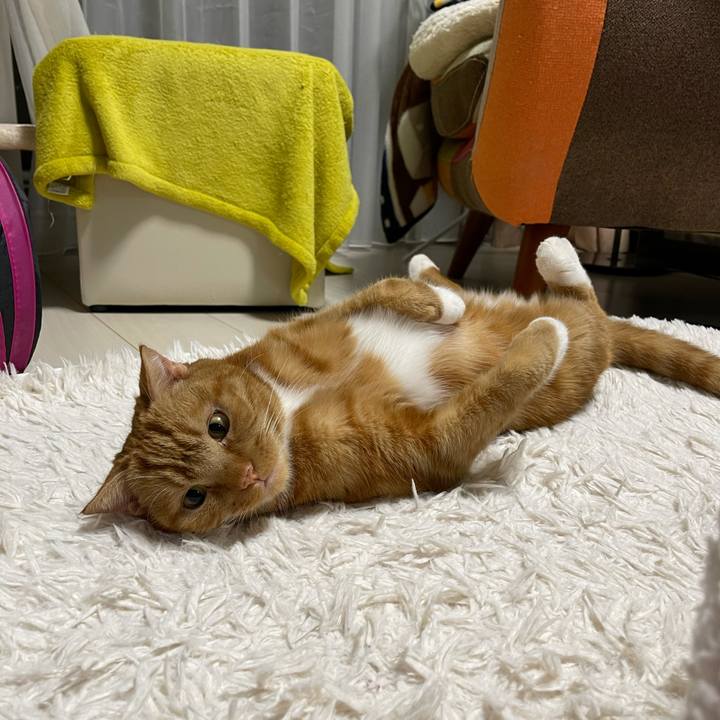 5c1e83f9 6de4 4d92 a3ec 60134242c7ed 1608388007175