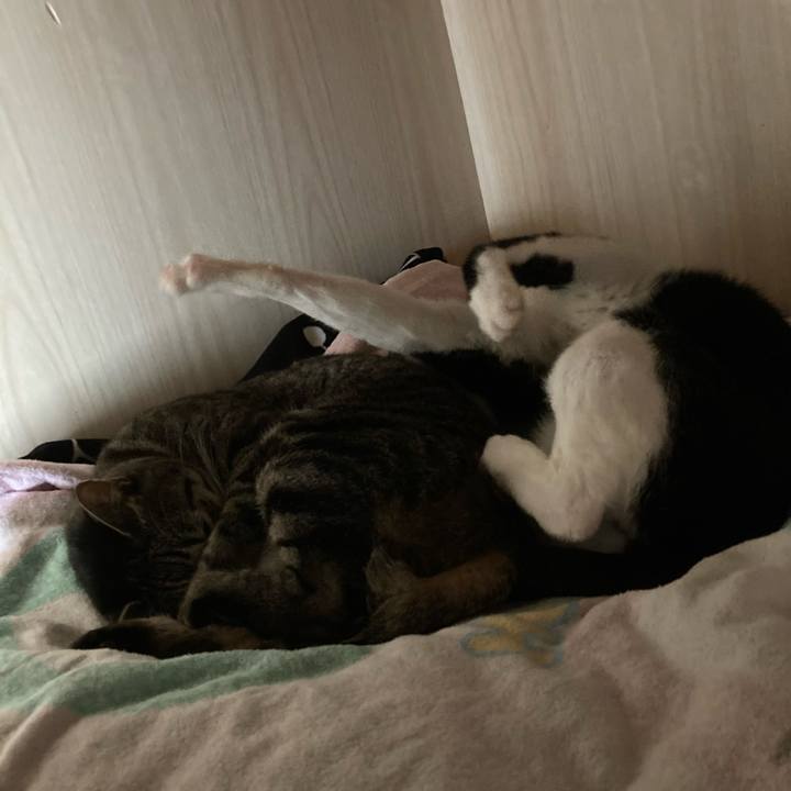 5c1e8a1f b9b8 468b 834b a8ad42daf69e 1615006993016