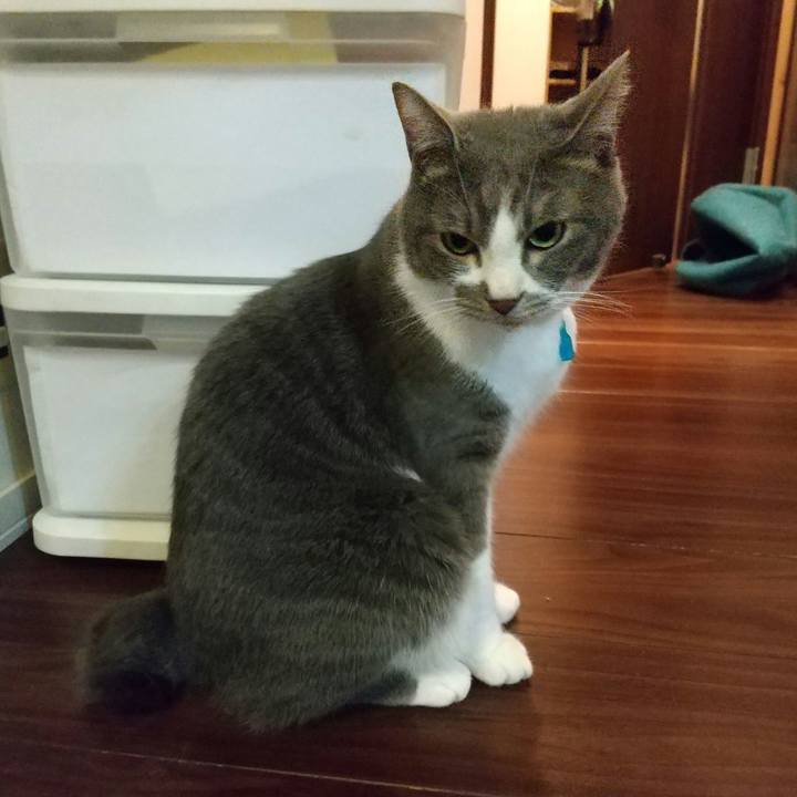 5c1e99b5 d737 458a a859 23dc989f64f5 1648731059461