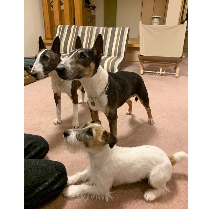 5c1ed03d 823c 48f1 b3a5 0633bed3b2d2 1583932494942