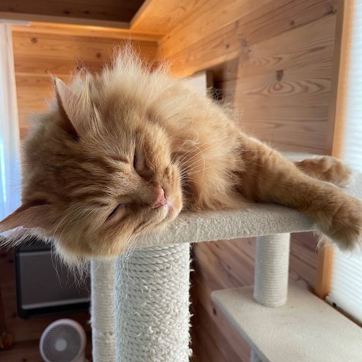 5c1ee365 1c23 4f74 b7b0 64e3197825fb 1628280554027