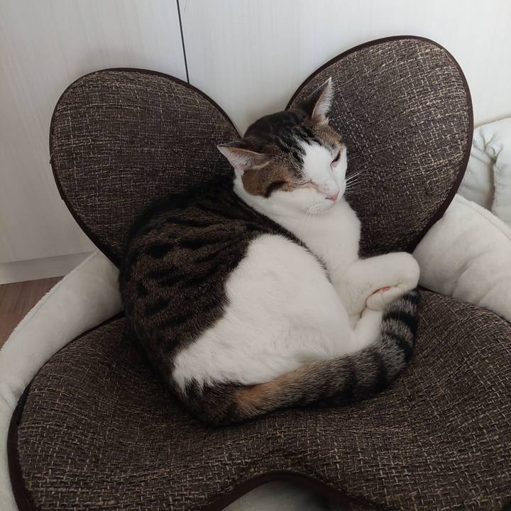 5c1ee75a bb27 4c0b b045 19a057f8dc0c 1642633093691