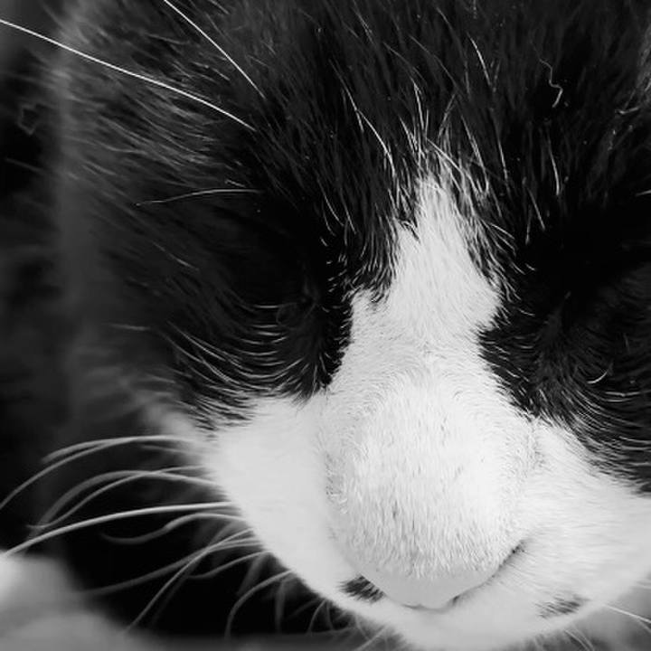 5c1f12d4 c654 4471 a0d9 0f508c424bdd 1744545298038