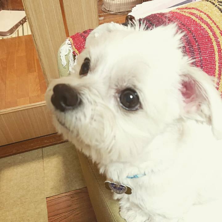 5c1fa4e6 c2cf 4c81 a913 2ec4d1684343 1552040144227