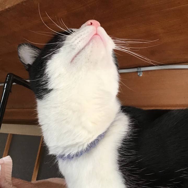 5c1fc32f 64cf 42ee ac37 618e7d19abc7 1644198833019