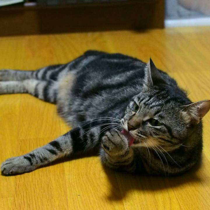 5c1fcc01 50b4 4b3b ad0c bfa7c5e87745 1535125920512