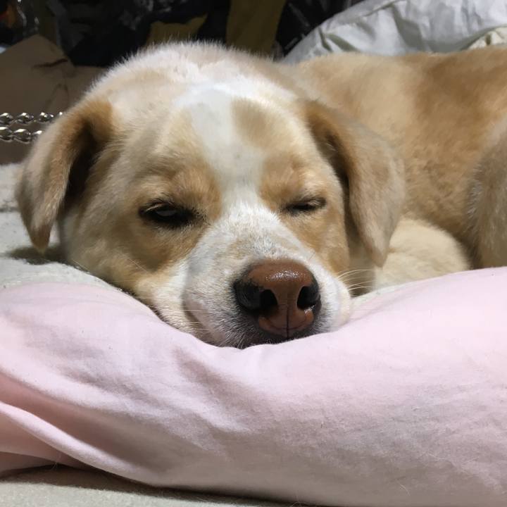 5c202a20 2f9a 4ed2 b270 6e5d9d898abe 1526737674215