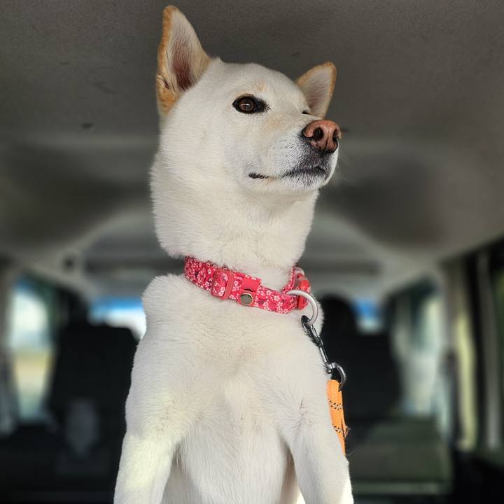 5c208135 9d07 476d af64 c3a0dfb03d53 1738559282014