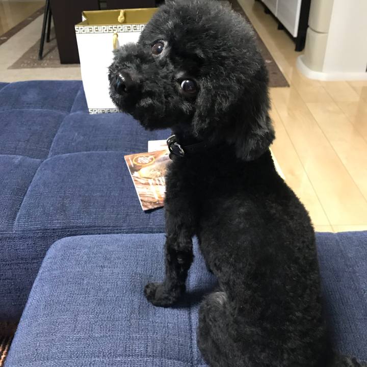 5c2087ba 122d 4da7 8d61 6f08da5f5f60 1537613540998