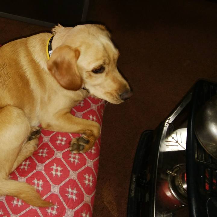 5c20a81b a118 4c4f b5e2 040694f51e7f 1515542717528