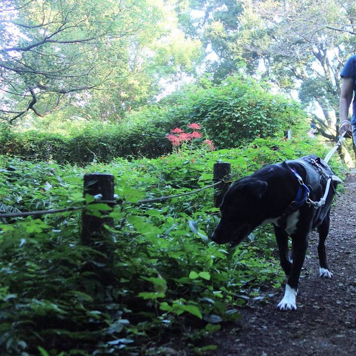 5c20ff5f a0ca 44e5 b285 0b100473aef9 1664497815599