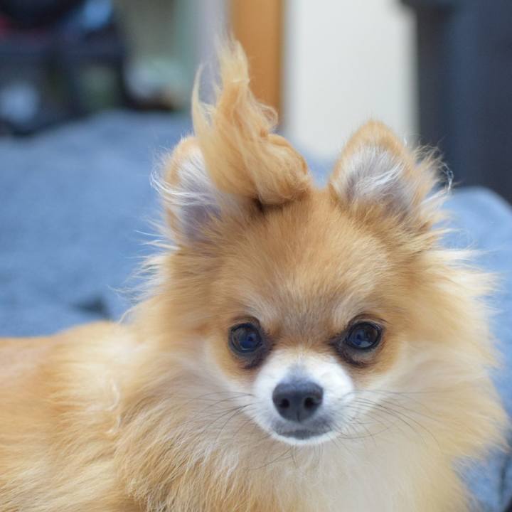 5c211726 8978 4ade aeff 189684ce687f 1539779781435