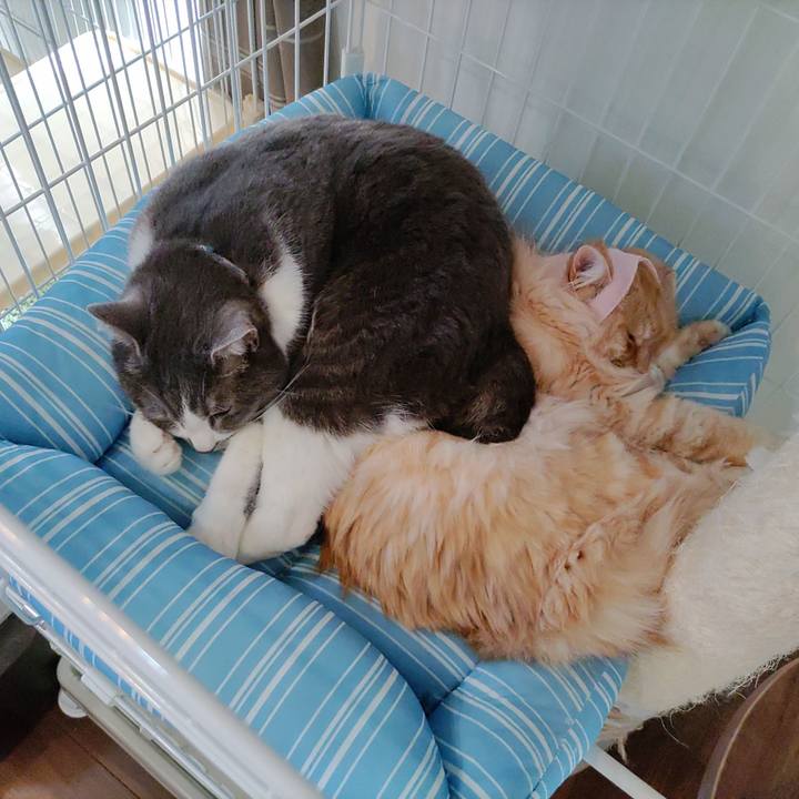 5c212337 d9cd 44b2 bfa3 5674cba663e3 1683018291952