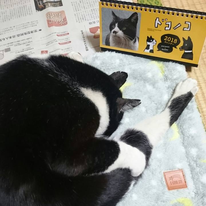 5c2139e9 a375 4c18 925f 99069c591945 1514203528260